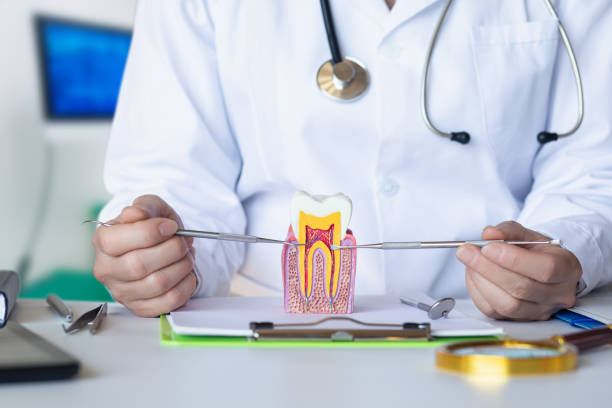 Best Holiday Emergency Dentist in Dexter, MI